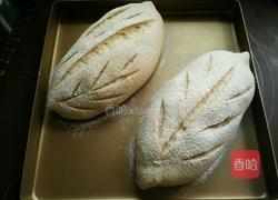 全麦培根面包的做法图解13