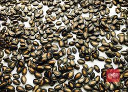 五香打瓜子的做法图解11