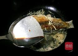 红烧鲫鱼的做法图解6