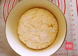 孜然肉馅饼的做法图解1