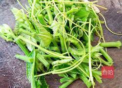 素炒南瓜苗的做法图解3