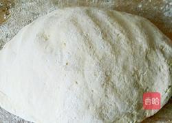 玉米面馒头的做法图解6
