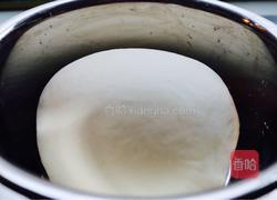 小笼包(小葱猪肉)的做法图解4