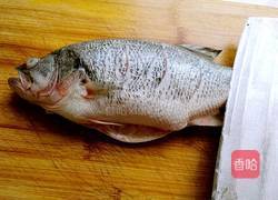 红烧鲈鱼的做法图解1