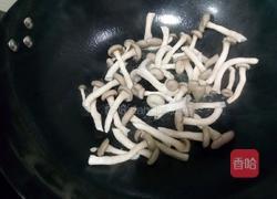 蘑菇肉丝的做法图解5