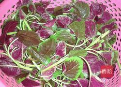 苋菜汤的做法图解1