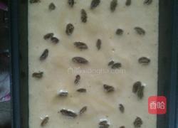 法式全蛋蛋糕的做法图解7