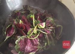 金鱼饺子的做法图解1