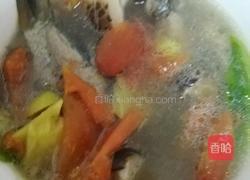 西红柿鲫鱼蘑菇汤的做法图解6