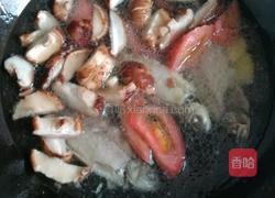 西红柿鲫鱼蘑菇汤的做法图解4