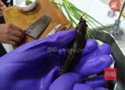 爆炒小龙虾的做法图解1