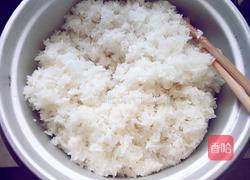 醪糟(糯米酒)的做法图解10