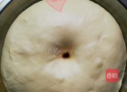 超详细蔓越莓椰蓉花朵面包的做法图解6