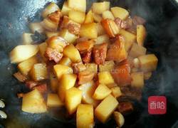 红烧肉炖萝卜的做法图解7