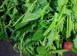 蒜香南瓜苗的做法图解2