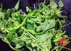 蒜香南瓜苗的做法图解4