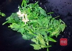 蒜香南瓜苗的做法图解6