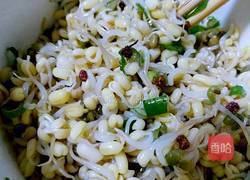 绿豆芽（自己泡发最健康）的做法图解13