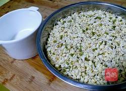 绿豆芽(自己泡发最健康)的做法图解3