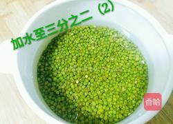 绿豆芽（自己泡发最健康）的做法图解5