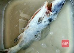 清蒸江团的做法图解4