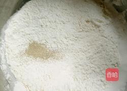 葱香烧饼的做法图解3