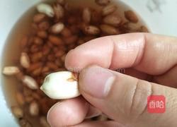 自制花生露的做法图解2