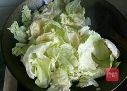 爆炒手撕圆白菜的做法图解3