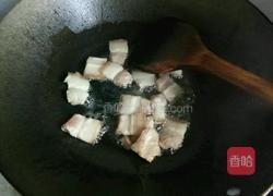 爆炒手撕圆白菜的做法图解2