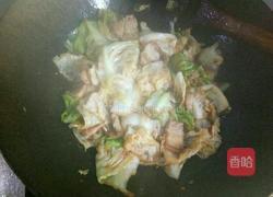 爆炒手撕圆白菜的做法图解5