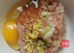 红烧狮子头的做法图解1