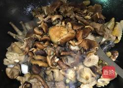 野生菌烧鸡的做法图解6