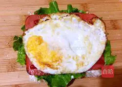 Illustration of homemade sandwiches 10