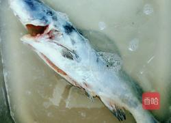 红烧江团的做法图解4