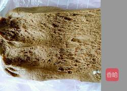 巧克力小熊馒头的做法图解3