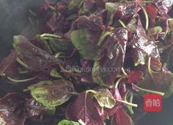 彩虹馄饨的做法图解1