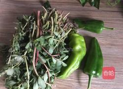 青椒炒马齿苋的做法图解1