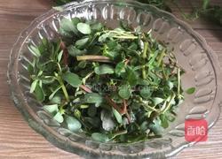 青椒炒马齿苋的做法图解2