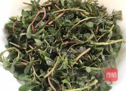 青椒炒马齿苋的做法图解9