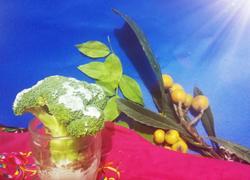 酸奶新吃发～雪 松