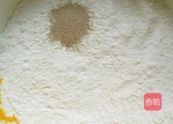 金元宝小馒头的做法图解5