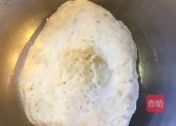蛋黄酥(豆沙)的做法图解2