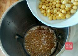 黄豆豆浆的做法图解2