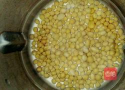黄豆豆浆的做法图解3