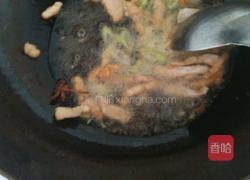辣椒粉条炒猪肉的做法图解3