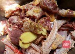 天麻炖乳鸽的做法图解2