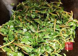 蒜蓉炒马齿苋的做法图解6