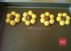 花朵饼干的做法图解17