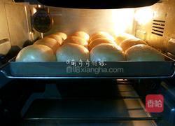 椰香小餐包的做法图解12