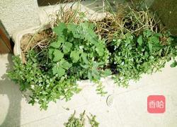 凉拌马牙菜的做法图解1